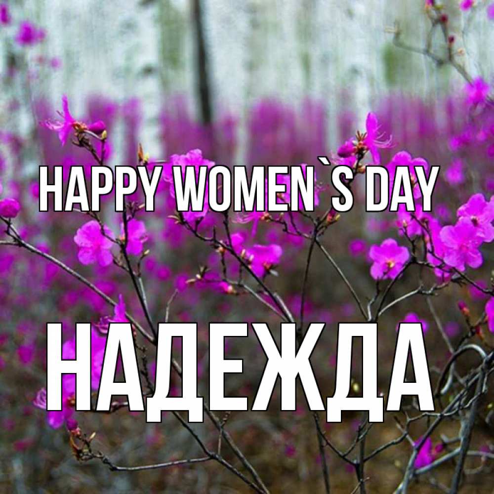 Greetings card с именем, Надежда happy women`s day дикие цветы Greetings with text for free download 